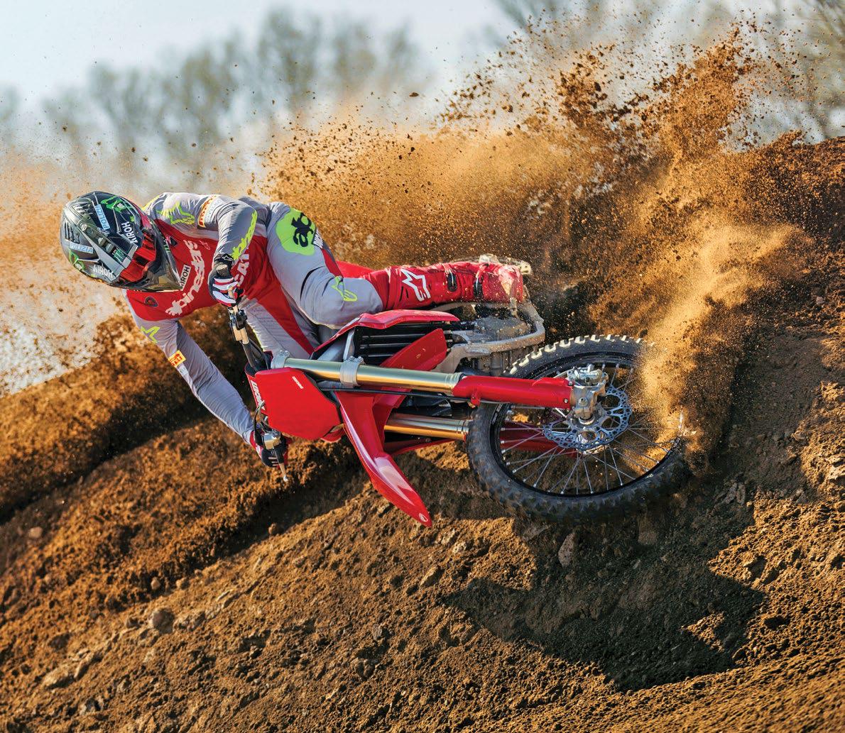 DUCATI DESMO450 MX